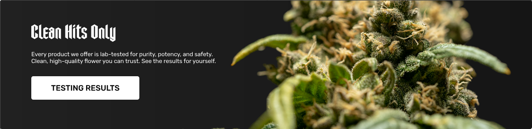 Close-up of hemp flower with text promoting lab-tested purity, potency, and safety. Button labeled 'Testing Results' links to lab results page.